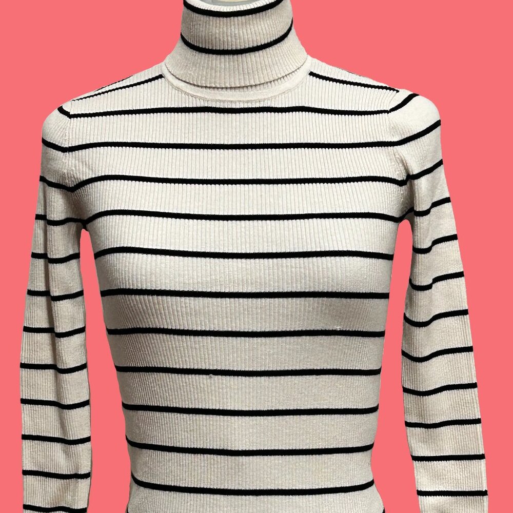 Lauren Ralph Lauren Striped Turtleneck